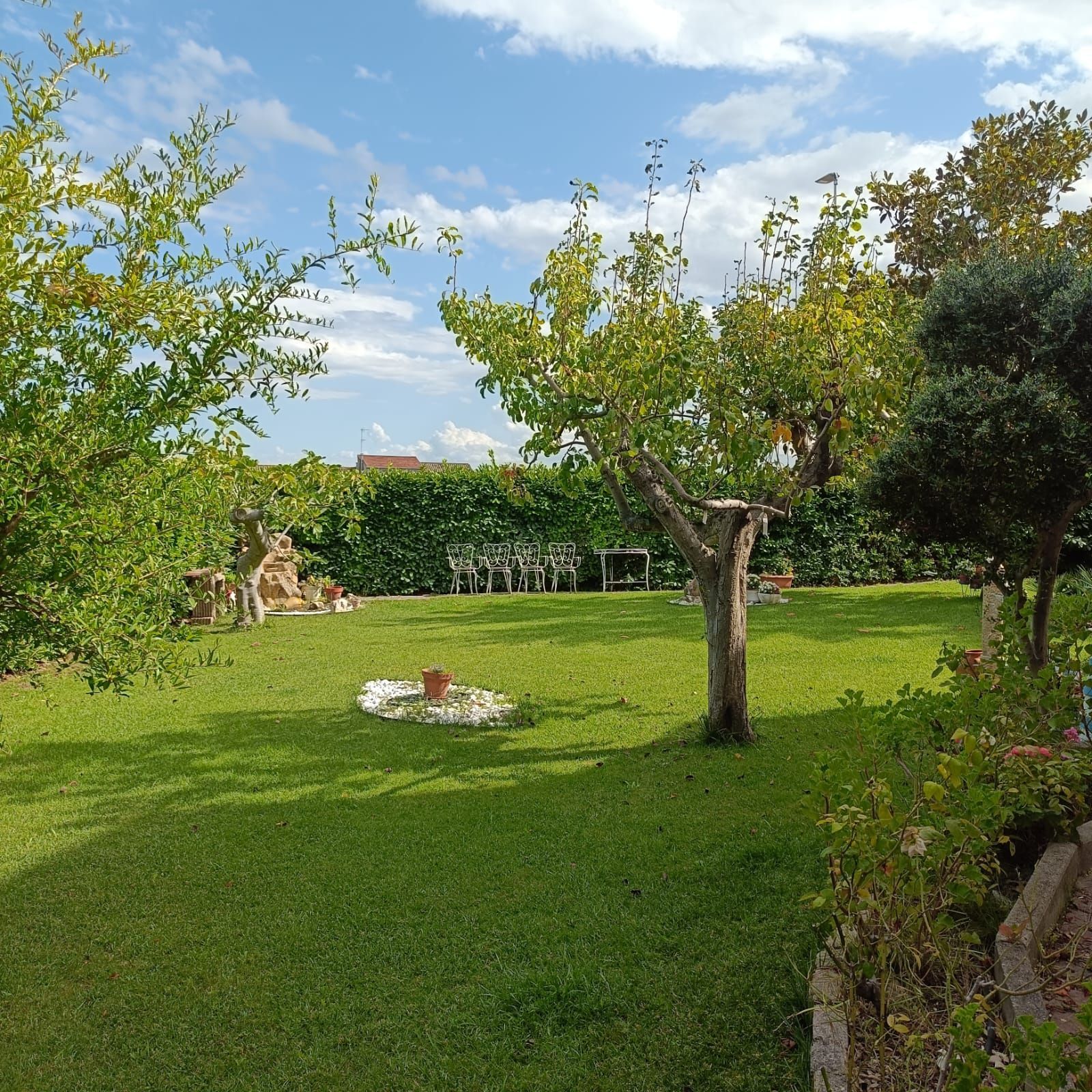 Servizi di  giardinaggio a Campobasso