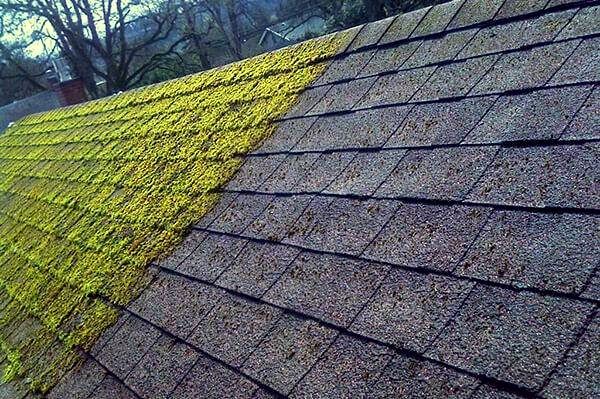Roof Cleaner in Kent WA & Surrounding Areas