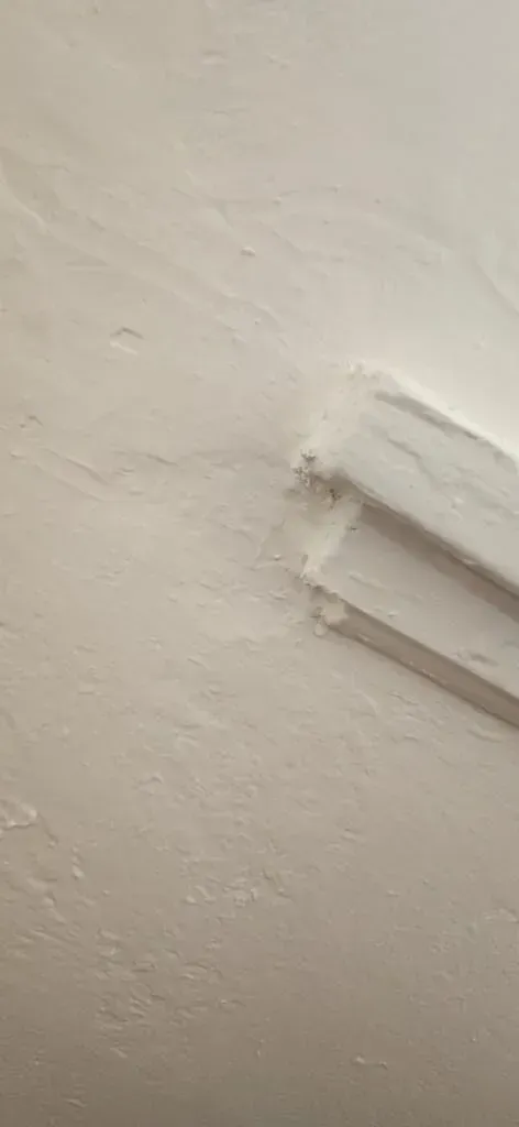 Desert Moon Coatings & Construction LLC, Bend OR, Awbrey Butte Bend OR, Century West Bend OR, Summit West Bend OR, Old Bend Bend OR, Old Farm District Bend OR, River West Bend OR, Southeast Bend OR, Tetherow OR, Seventh Mountain OR, Deschutes River Woods OR, Deschutes OR, Redmond OR, Tumalo OR, Plainview OR, Sisters OR, Sunriver OR, La Pine OR, Millican OR, Brothers OR, Painting Contractor, Painting Company Near Me, Painters Near Me, Bend Painting Company, Tetherow Painting Company, Seventh Mountain Painting Company, Deschutes River Woods Painting Company, Deschutes Painting Company, Redmond Painting Company, Tumalo Painting Company, Plainview Painting Company, Sisters Painting Company, Sunriver Painting Company, La Pine Painting Company, Millican Painting Company, Brothers Painting Company, Interior Painting, Exterior Painting, Residential Painting, Mural Artist, Mural Painting, Staining Services, Railing Staining, Cabinet Staining, Cabinet Staining, Cabinet Refinishing, Deck Staining, Deck Refinishing, Deck Stairwell Staining, Deck Stairwell Refinishing, Trim Staining, Siding Staining, Specialty Painting, Furniture Painting, Furniture Staining, Furniture Oiling, Furniture Refurbishment, Small Commercial Painting, New Build Painting, New Construction Painting, Remodeling Company Near Me, Remodelers Near Me, Bend Remodeling Company, Tetherow Remodeling Company, Seventh Mountain Remodeling Company, Deschutes River Woods Remodeling Company, Deschutes Remodeling Company, Redmond Remodeling Company, Tumalo Remodeling Company, Plainview Remodeling Company, Sisters Remodeling Company, Sunriver Remodeling Company, La Pine Remodeling Company, Millican Remodeling Company, Brothers Remodeling Company, Siding Services, Siding Installation, Siding Replacement, Siding Repair, Fascia Services, Fascia Installation, Fascia Replacement, Fascia Repair, Trim Services, Trim Installation, Trim Replacement, Trim Repair, Bathroom Remodeling, Bathroom Remodelers, Kitchen Remodeling, Kitchen Remodelers, Interior Decorating