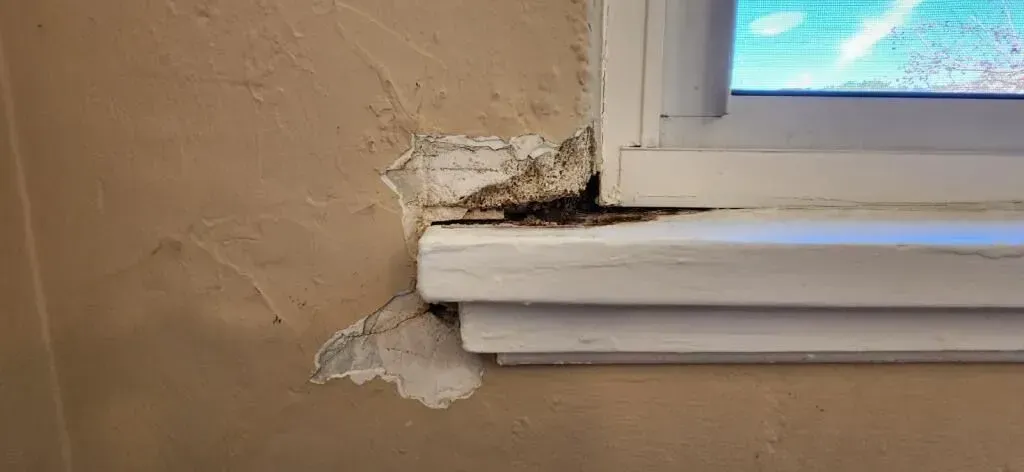 Desert Moon Coatings & Construction LLC, Bend OR, Awbrey Butte Bend OR, Century West Bend OR, Summit West Bend OR, Old Bend Bend OR, Old Farm District Bend OR, River West Bend OR, Southeast Bend OR, Tetherow OR, Seventh Mountain OR, Deschutes River Woods OR, Deschutes OR, Redmond OR, Tumalo OR, Plainview OR, Sisters OR, Sunriver OR, La Pine OR, Millican OR, Brothers OR, Painting Contractor, Painting Company Near Me, Painters Near Me, Bend Painting Company, Tetherow Painting Company, Seventh Mountain Painting Company, Deschutes River Woods Painting Company, Deschutes Painting Company, Redmond Painting Company, Tumalo Painting Company, Plainview Painting Company, Sisters Painting Company, Sunriver Painting Company, La Pine Painting Company, Millican Painting Company, Brothers Painting Company, Interior Painting, Exterior Painting, Residential Painting, Mural Artist, Mural Painting, Staining Services, Railing Staining, Cabinet Staining, Cabinet Staining, Cabinet Refinishing, Deck Staining, Deck Refinishing, Deck Stairwell Staining, Deck Stairwell Refinishing, Trim Staining, Siding Staining, Specialty Painting, Furniture Painting, Furniture Staining, Furniture Oiling, Furniture Refurbishment, Small Commercial Painting, New Build Painting, New Construction Painting, Remodeling Company Near Me, Remodelers Near Me, Bend Remodeling Company, Tetherow Remodeling Company, Seventh Mountain Remodeling Company, Deschutes River Woods Remodeling Company, Deschutes Remodeling Company, Redmond Remodeling Company, Tumalo Remodeling Company, Plainview Remodeling Company, Sisters Remodeling Company, Sunriver Remodeling Company, La Pine Remodeling Company, Millican Remodeling Company, Brothers Remodeling Company, Siding Services, Siding Installation, Siding Replacement, Siding Repair, Fascia Services, Fascia Installation, Fascia Replacement, Fascia Repair, Trim Services, Trim Installation, Trim Replacement, Trim Repair, Bathroom Remodeling, Bathroom Remodelers, Kitchen Remodeling, Kitchen Remodelers, Interior Decorating