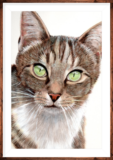 Cat - Pet Portrait in Acrylic