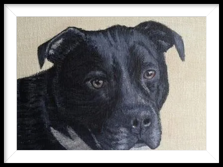 Pet Portrait of a Dog