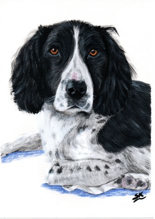 Kyte - Pet Portrait of a dog in acrylic