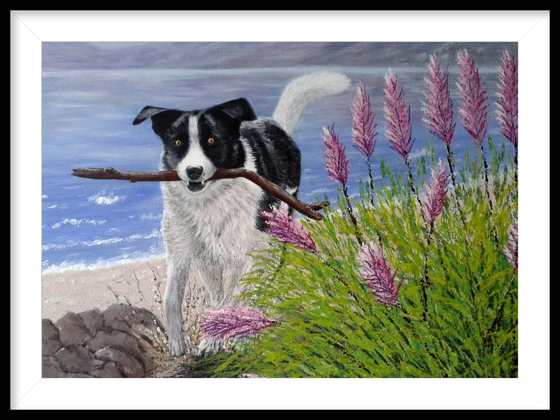 Border Collie Dog - Acrylic Pet Portrait Painting