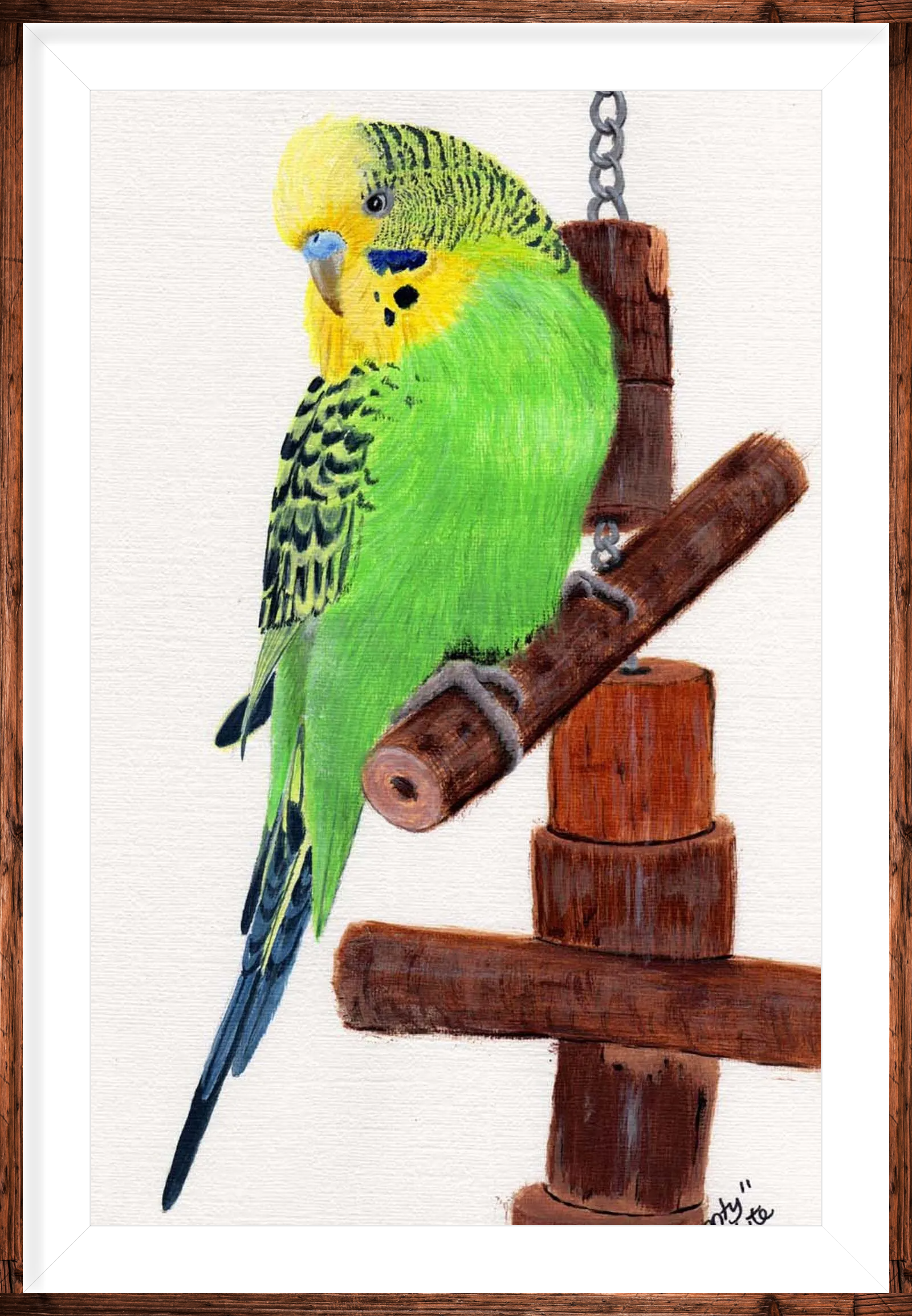 Budgie Pet Portrait Painting in Acrylic