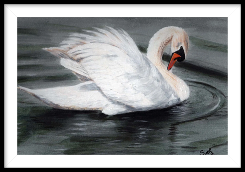 Swan Painting in Acrylic