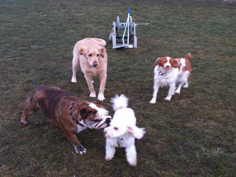Playing outside