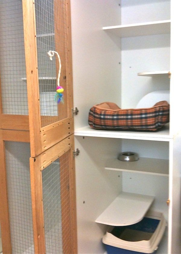 Cat Room