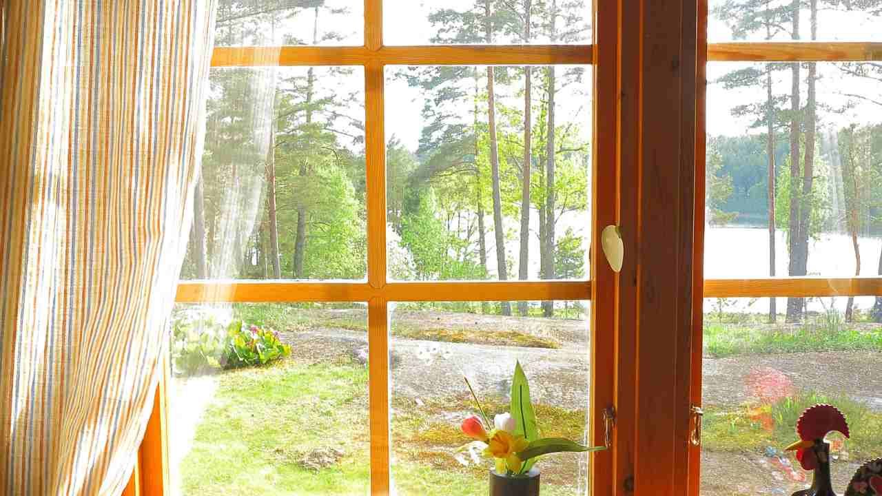 A window showcasing a vase of flowers.