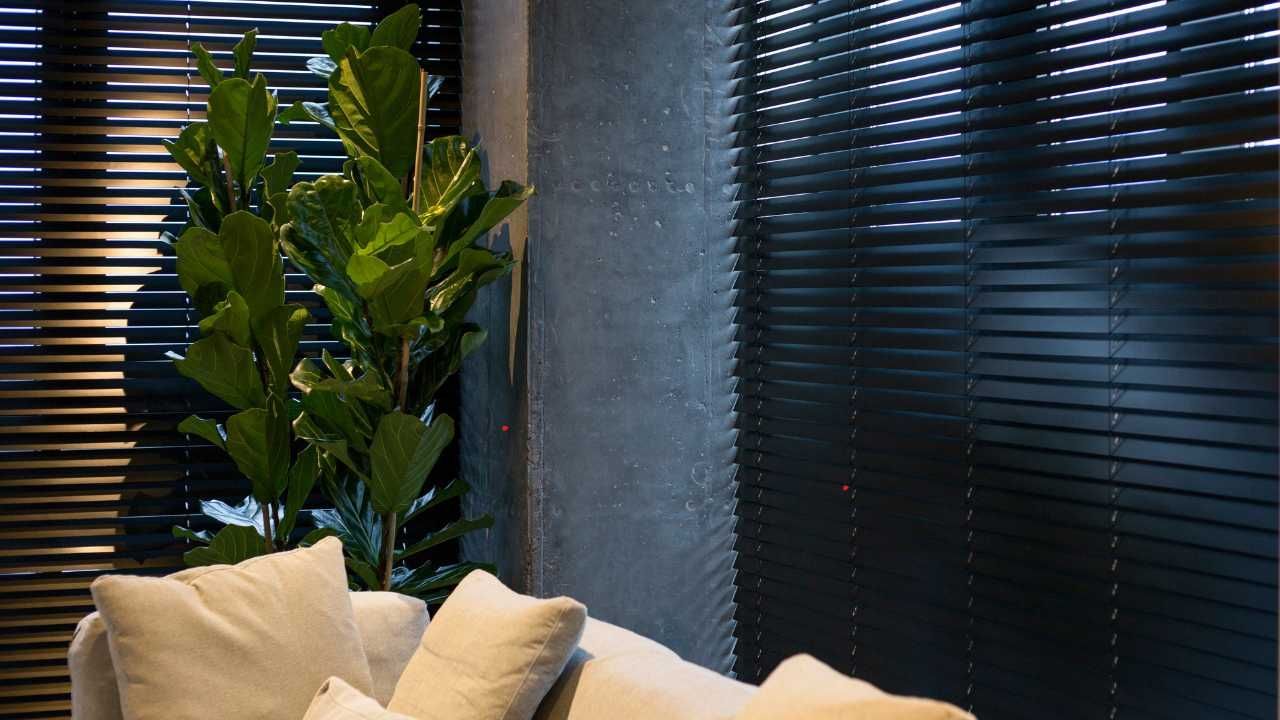 Motorized blinds and shades