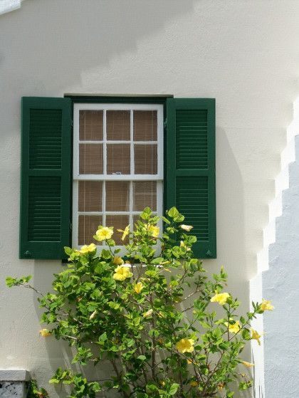 Sliding door blind shutters in an Olympia, WA home