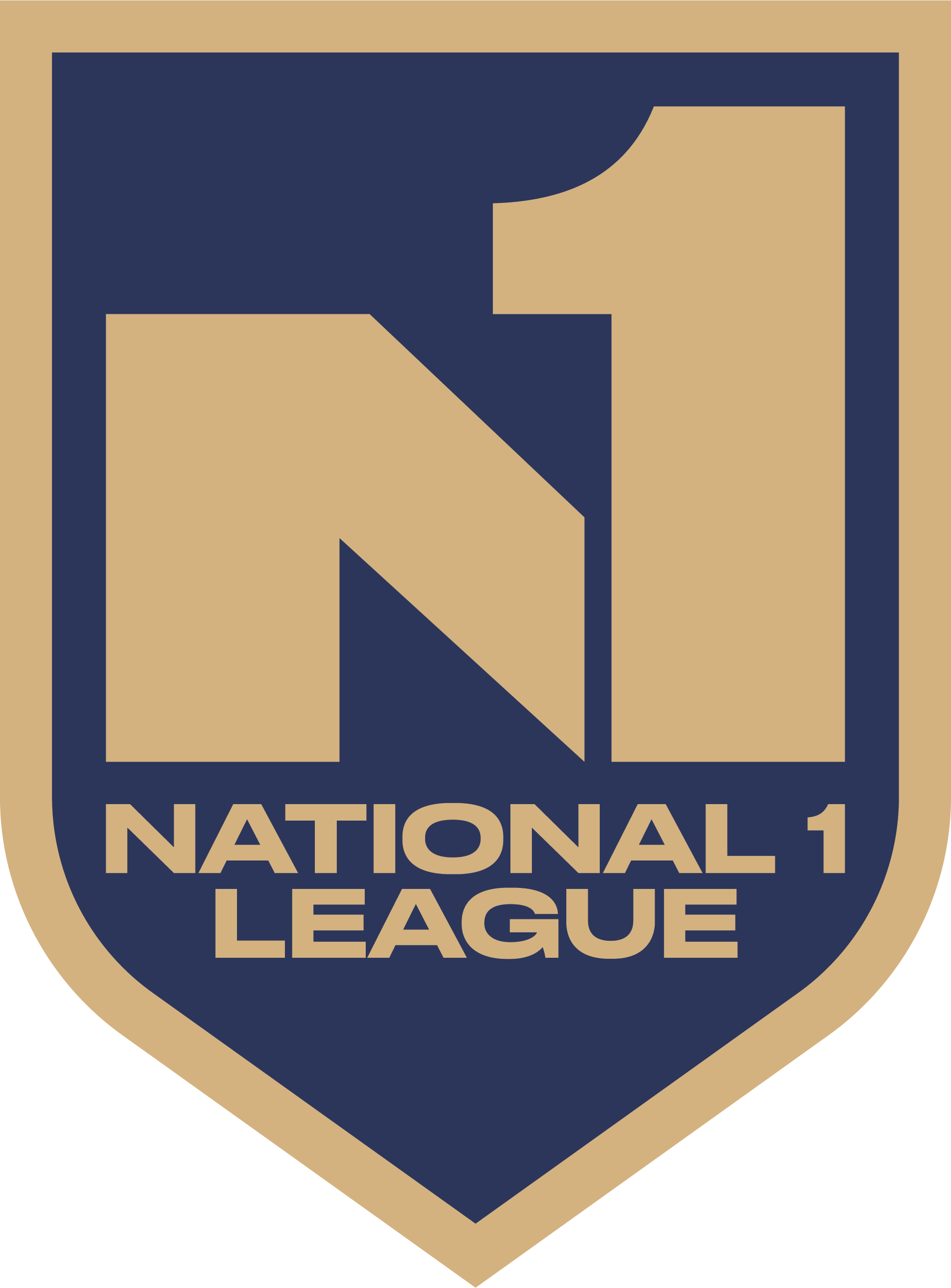 Logo for N1 Soccer