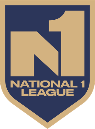 Logo for N1 Soccer