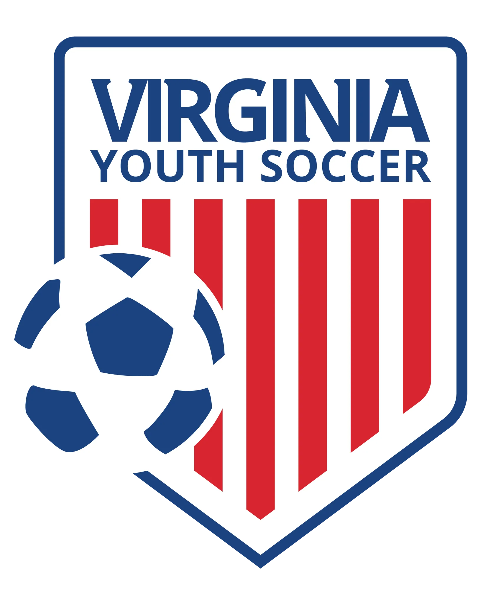 Logo for Virginia Youth Soccer