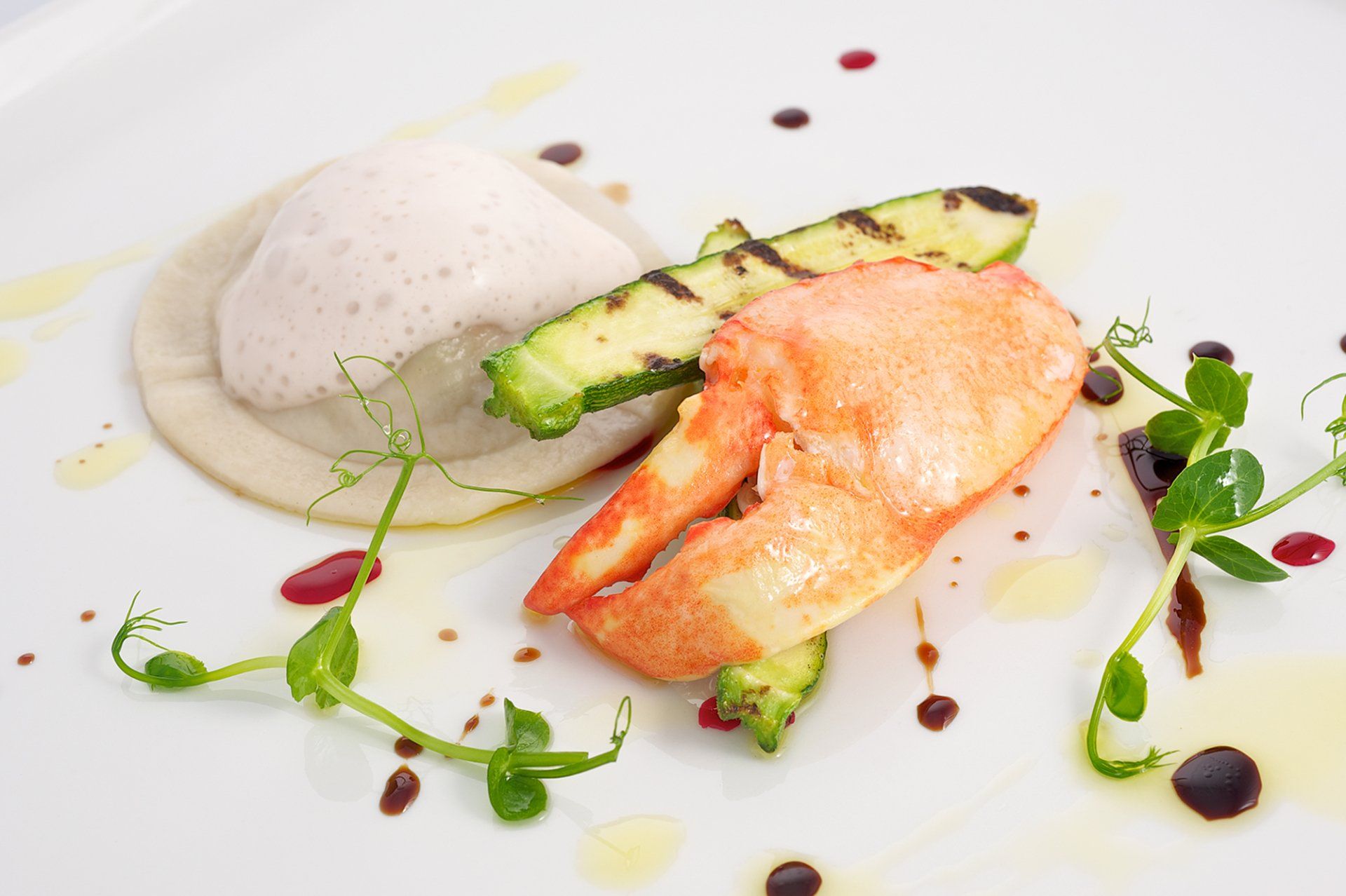 Lobster claw, grilled zucchini, ravioli, and foam on a white plate.