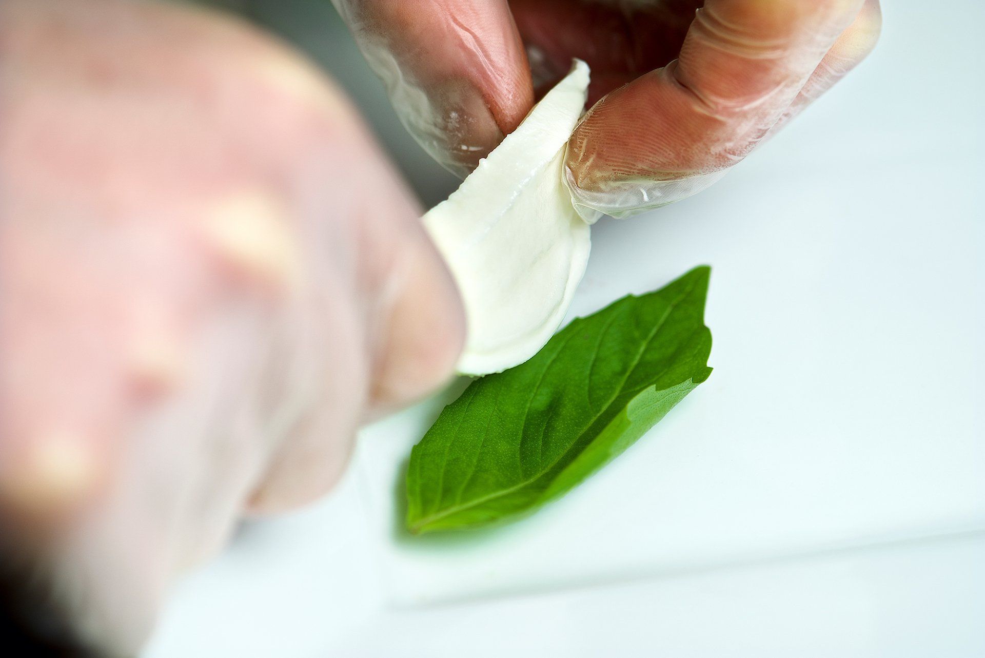 Hands in gloves placing a white cheese slice on a green basil leaf, on a white plate.