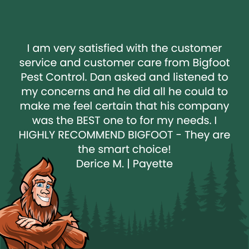 Using Customer Testimonials in Marketing Pest Control Services