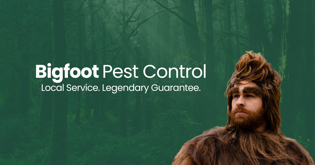 A man in a bigfoot costume is standing in front of a green background.