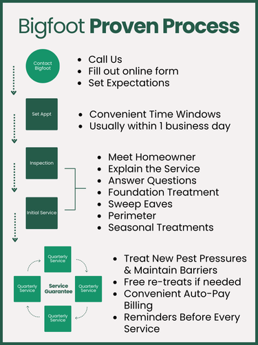 A diagram of the bigfoot printer process