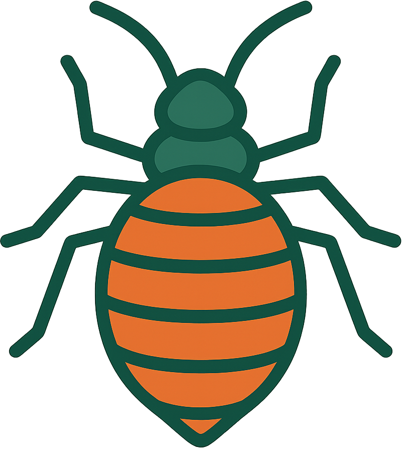 A bed bug icon in outline style on a white background.