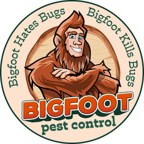 A white background with a few lines on it