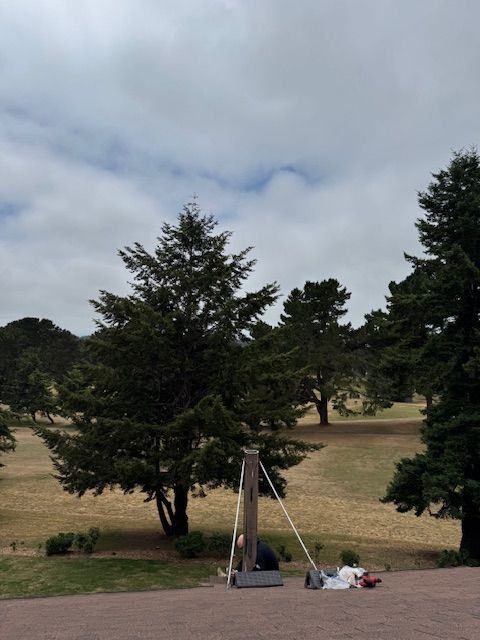 A tree-lined park under a cloudy sky. A wooden structure with ropes sits in the foreground on a grassy field.