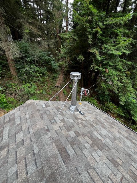 Rooftop with a metal chimney, set against a backdrop of green trees and foliage. Two support wires extend from the chimney.