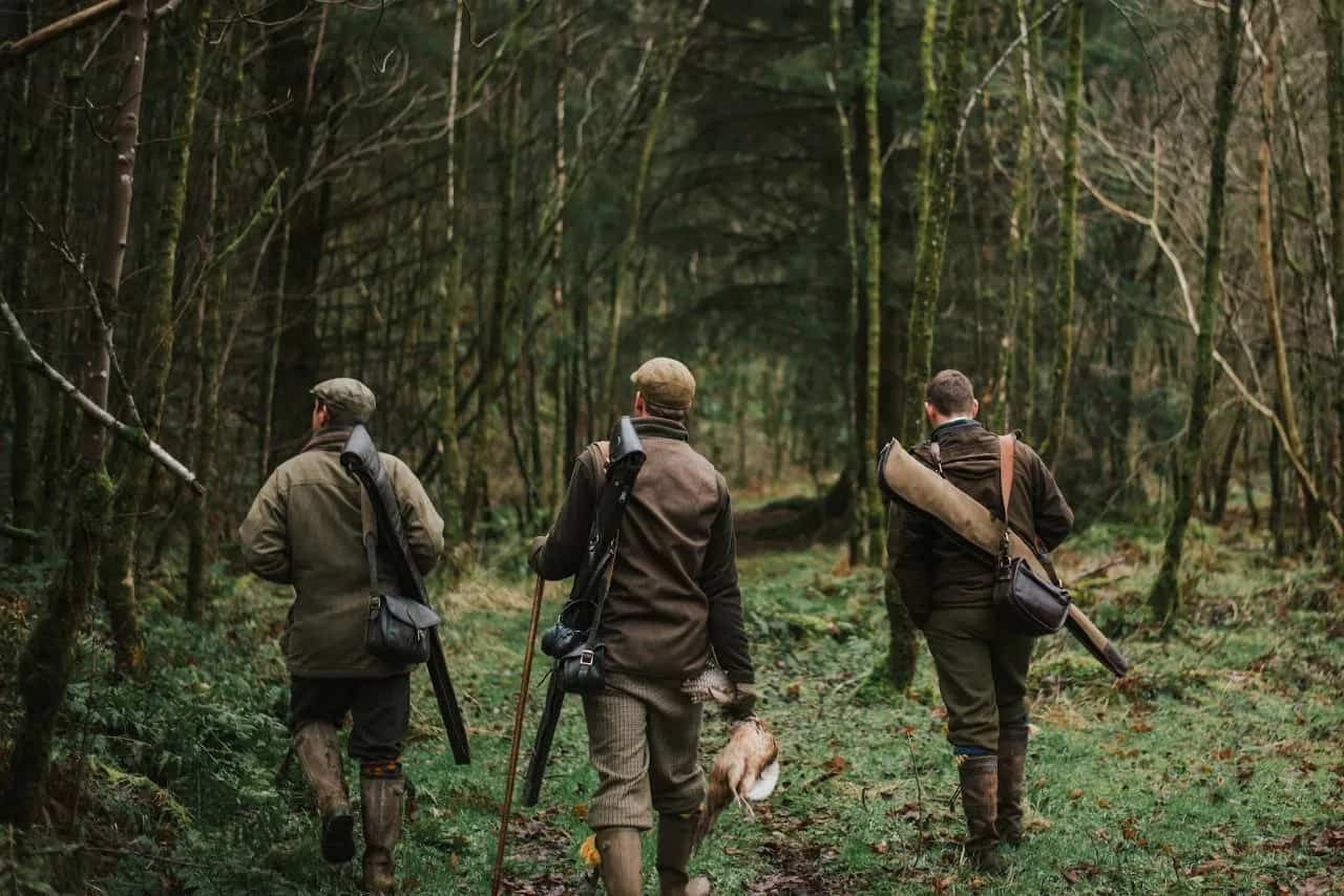 Three men Game shooting in a forest