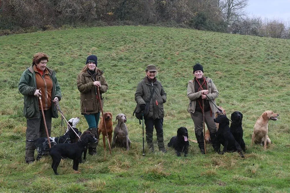 Shooting party in the South Downs