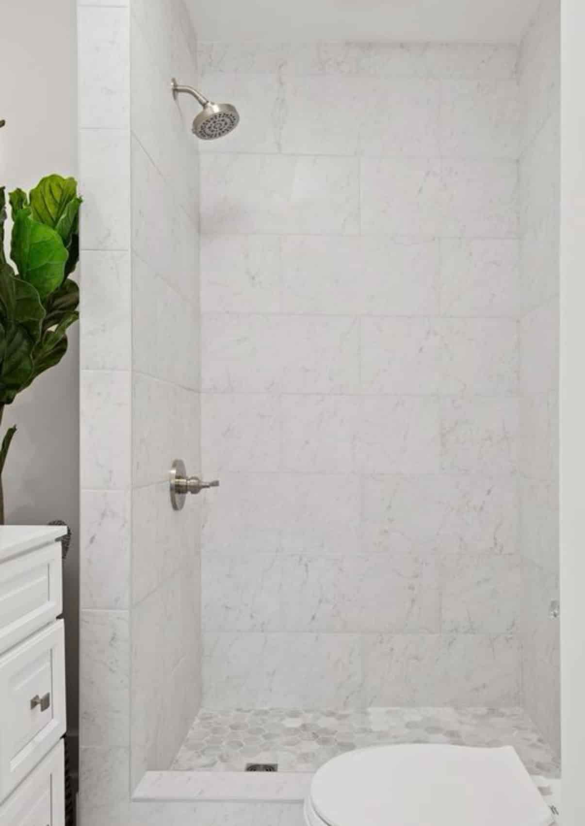 A bathroom with a shower , toilet , sink and plant.