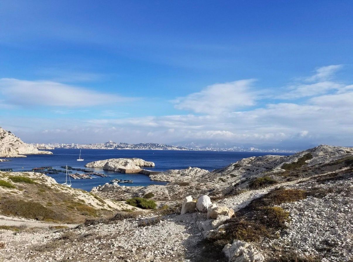 Rocky seaside coastline under a bright blue sky, with calm water and distant buildings on the horizon. - Ratonneau
Island, Marseille, France