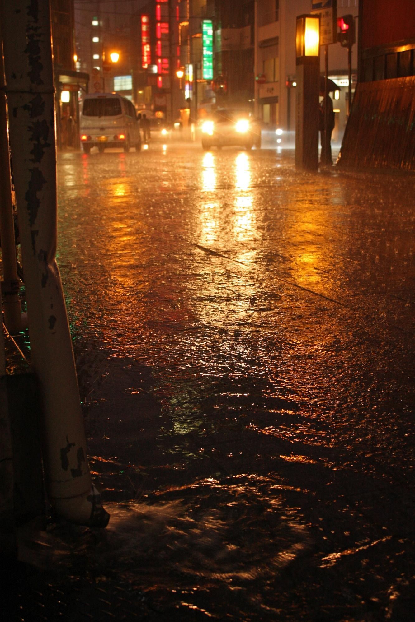 A rain-slicked city street at night reflects golden streetlights and car headlights, with water pooling in the foreground.