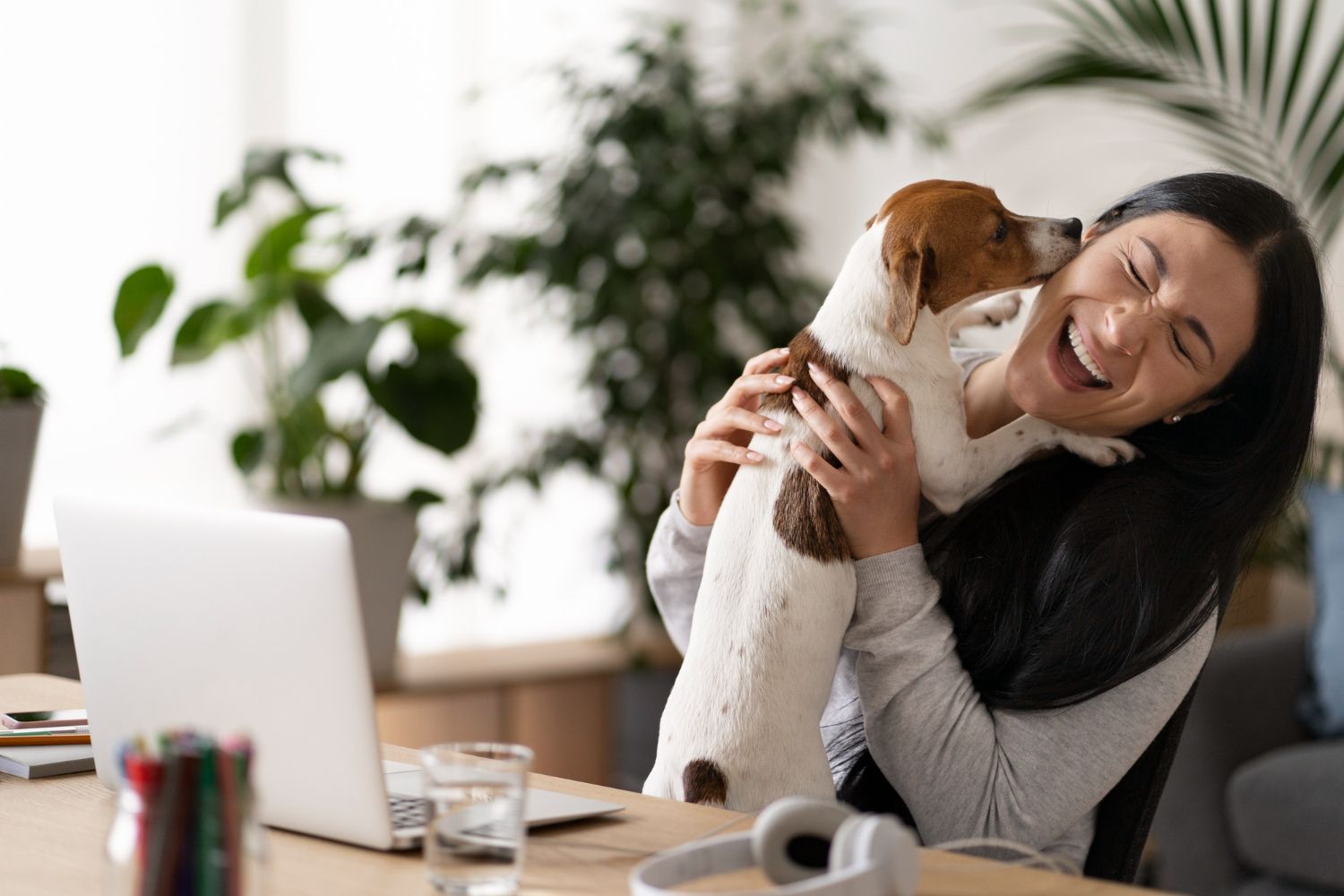 A laughing person hugs a small, brown and white dog that is licking their cheek while sitting at a desk with a laptop.