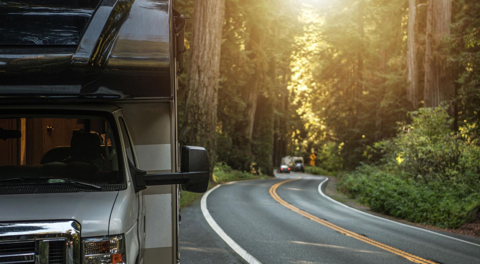 A white RV parked on the side of a winding road through a sunlit forest.