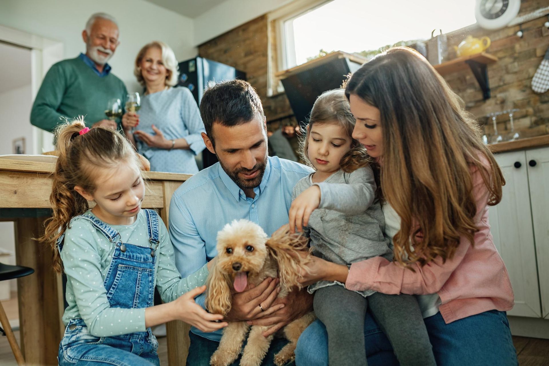 A family interacts with a small dog in a home kitchen, with two adults standing in the background and two children nearby.