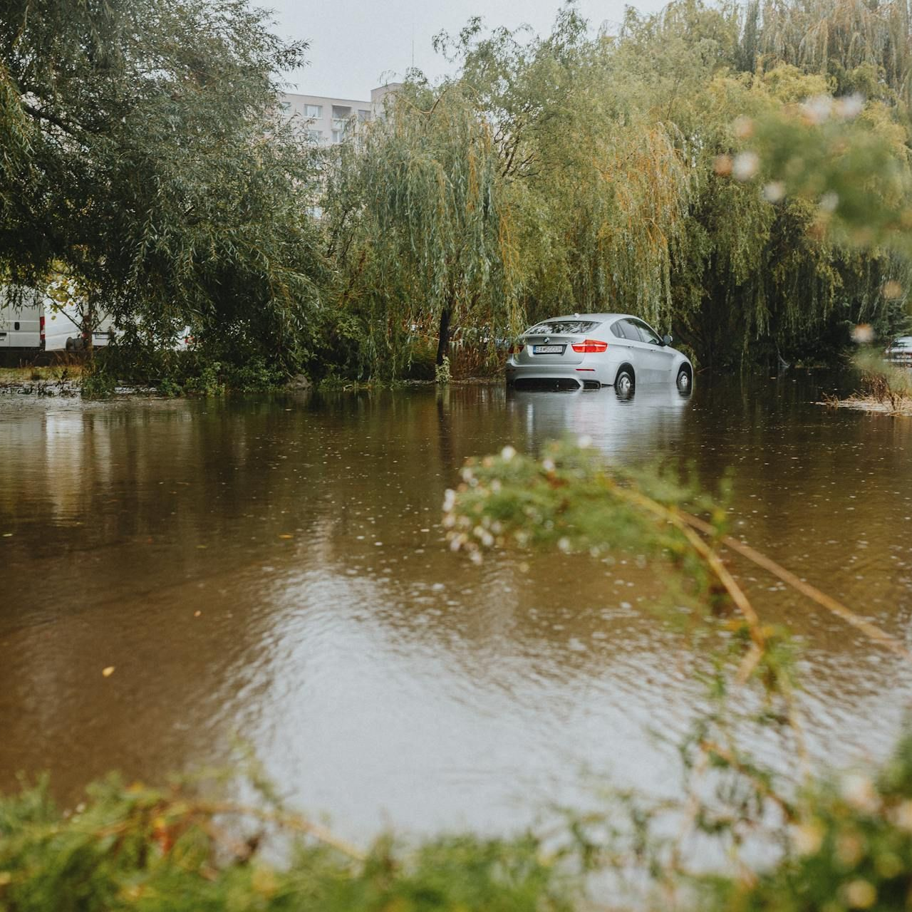 A silver car parked on a flooded street surrounded by lush green trees.