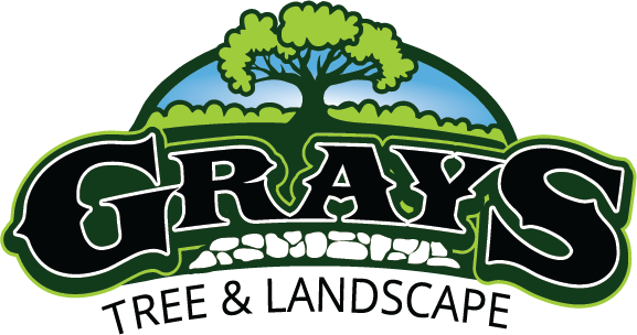 gray 's tree and landscape logo with a tree in the center