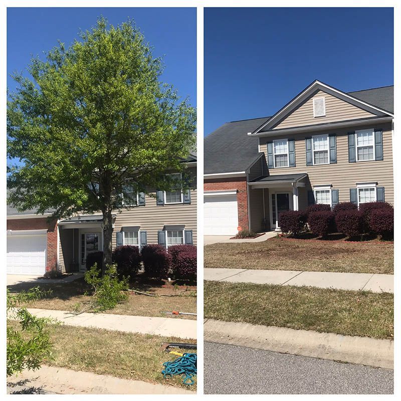 before & After lawn care services