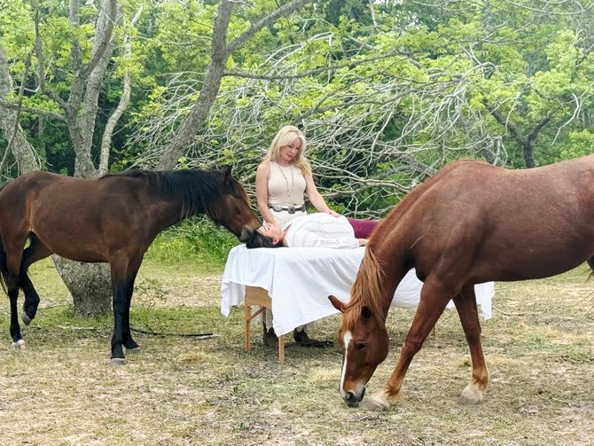 People working with miniature horses