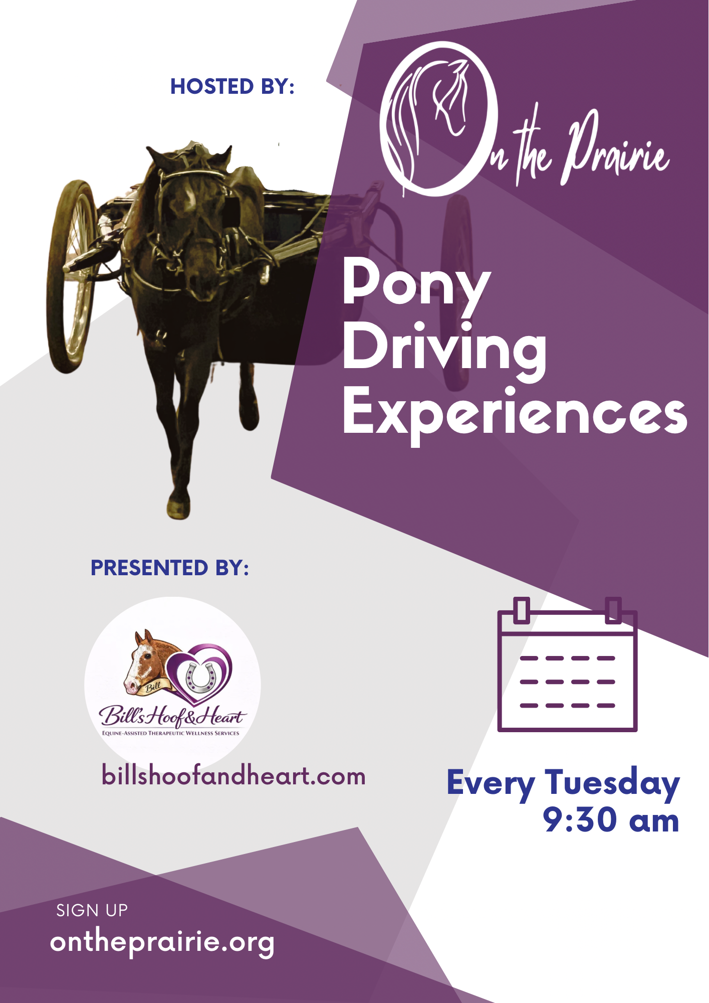 Horse yoga goat yoga 