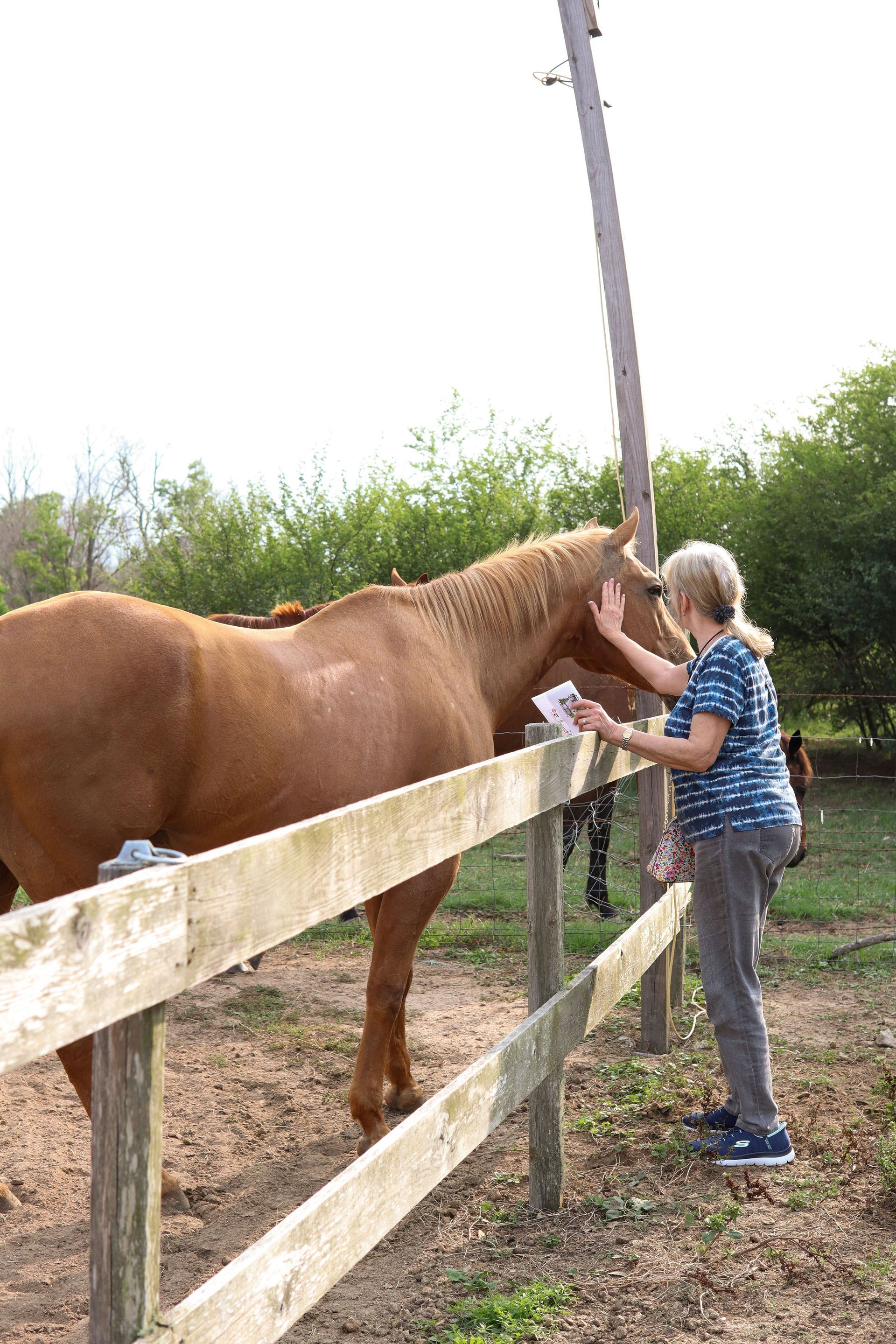 Person connecting with a horse