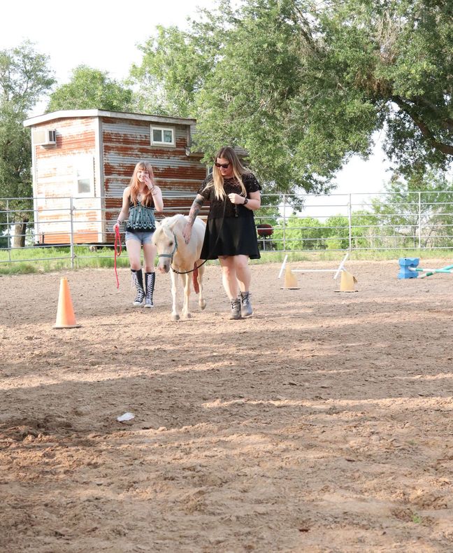 People working with miniature horses