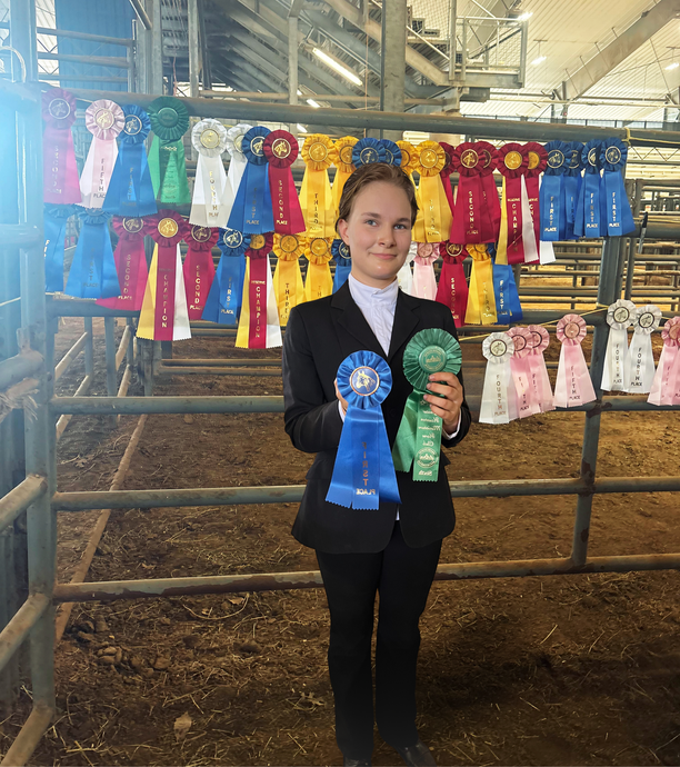 American miniature horse association show team