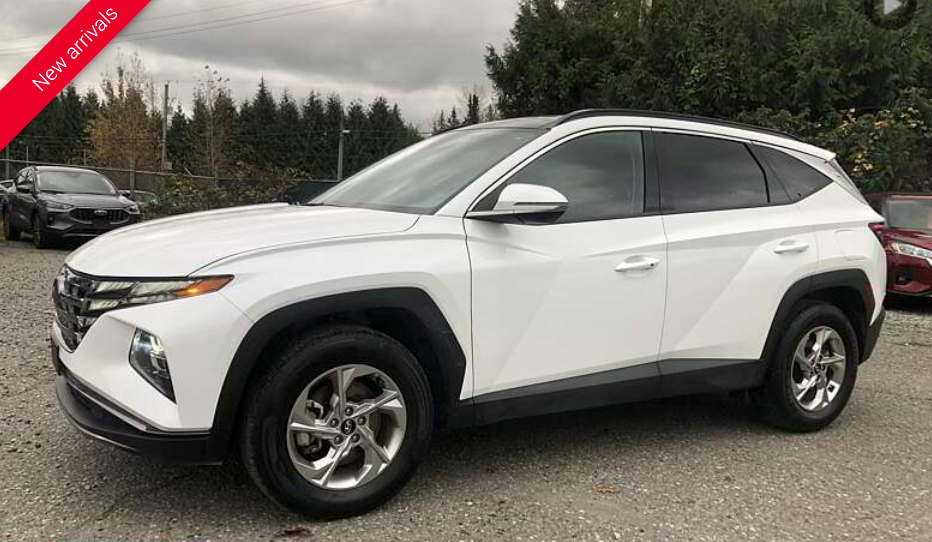 White Hyundai Tucson SUV parked outdoors on a cloudy day.