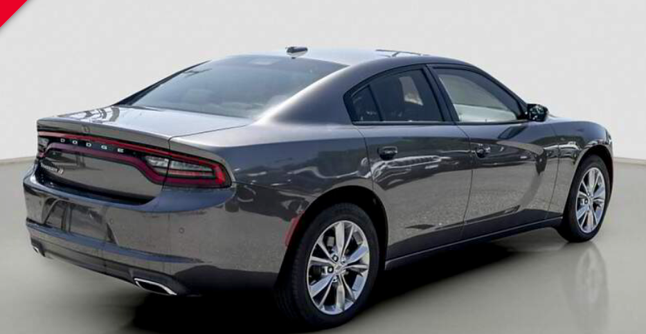 Gray Dodge Charger sedan, rear view, on a studio background.