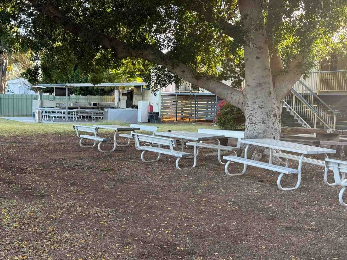 Picnic Tables Under a Large Tree Near a Building with A Serving Area — Leichhardt Accommodation in Mornington, QLD
