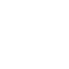 Solaris logo in white