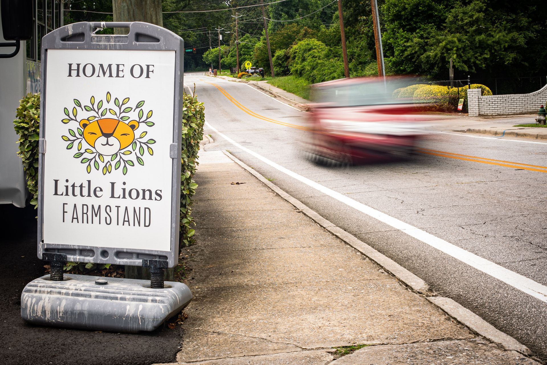 A sign for little lions farm stand is on the side of the road.