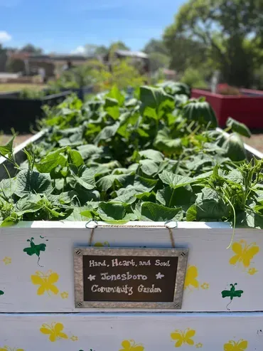 A garden bed filled with lots of green plants and a sign that says yard , heart , and soul.