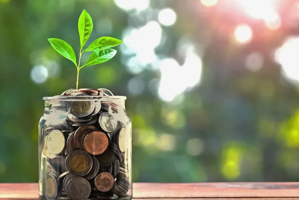 A plant is growing out of a jar of coins.